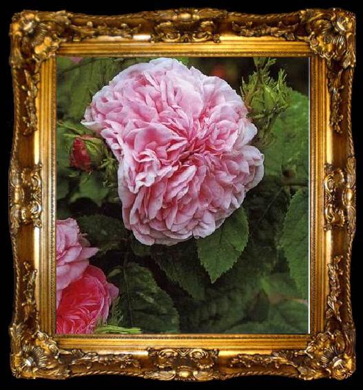 framed  unknow artist Still life floral, all kinds of reality flowers oil painting  313, ta009-2